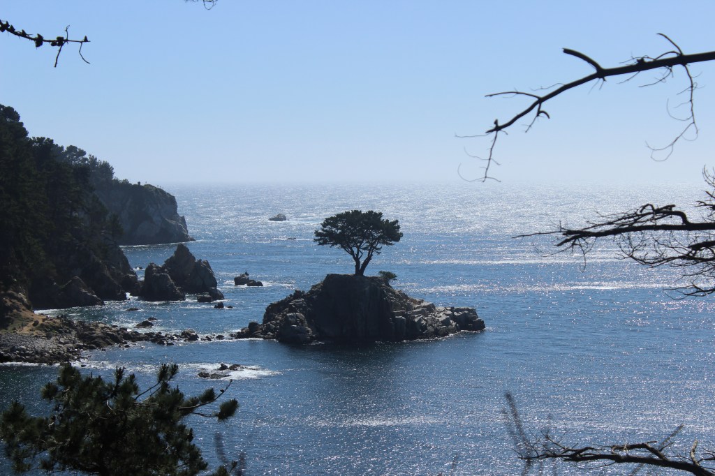 From Chile to the&nbsp;world!